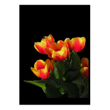 Rembrandt Tulips ATC Photo Card Business Card