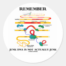Remember Junk DNA Is Not Actually Junk Round Sticker