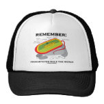 Remember: Prokaryotes Rule The World Mesh Hat