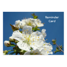 Reminder Cards Appointments Blue Sky Blossoms Business Card Template