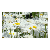 Reminder Cards Appointments Daisy Flowers Business Card