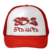 Rep 3rd Ward (832) Hats
