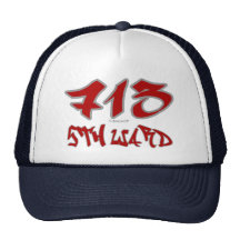 Rep 5th Ward (713) Mesh Hats