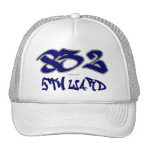 Rep 5th Ward (832) Mesh Hats