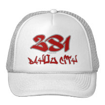 Rep Bayou City (281) Hat