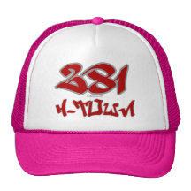Rep H-Town (281) Hat