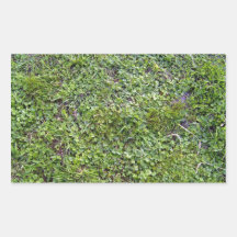 Repetitive Plants Textures Rectangle Stickers
