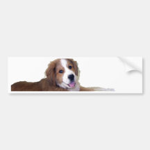 Rescue Buddy Smile Bumper Stickers