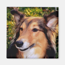 rescued Dog Magnets