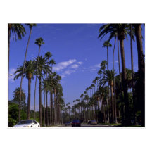 Residential Rodeo Drive, Beverly Hills, California Postcard