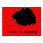 Respect The Hedgehog Postcard