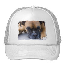 Resting Boxer Dog Baseball Hat