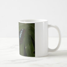 Resting Butterfly Mugs