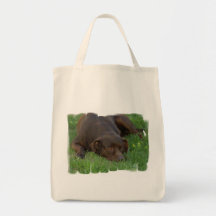 Resting Chocolate Lab Canvas Bag