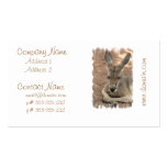 Resting Kangaroo Business Cards business cards