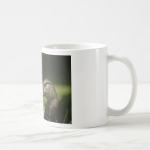 Resting Mallard Coffee Mugs