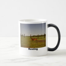 Resting  mug