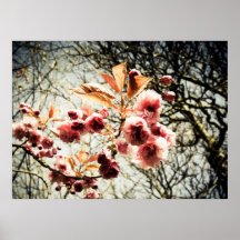 Retro effect cherry tree blossom print