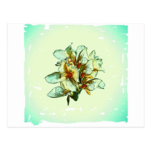 Retro orchids postcards