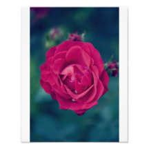 Retro rose photographic print