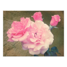 Retro Roses 2 Art Photo