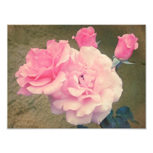 Retro Roses 2 Art Photo