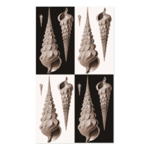 Retro Seashells Profile Card Business Cards