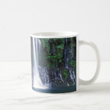 Reunion waterfall mug