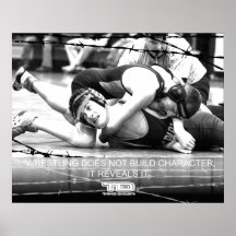 reveal it posters