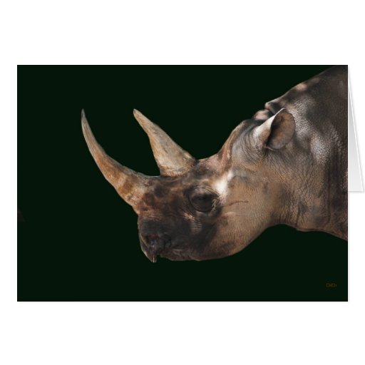Rhinoceros Cards