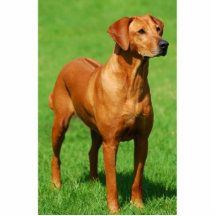 Rhodesian Ridgeback sculpture Cut Outs