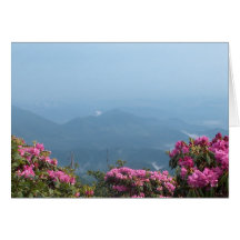 Rhododendrons and Mountains Cards