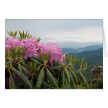 Rhododendrons Greeting Card