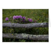Rhodos-N-Rails Greeting Card