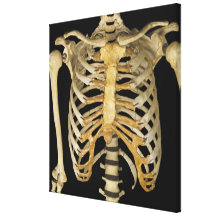 Rib Cage Canvas Prints