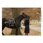 Riderless Horse Escort Greeting Cards