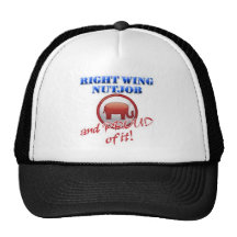 Right Wing Mesh Hat