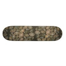 Ring cowrie (Cypraea annulus) Shell Skate Decks