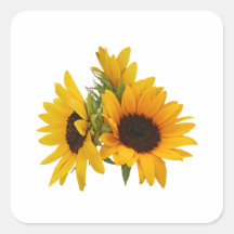 Ring of Sunflowers Stickers