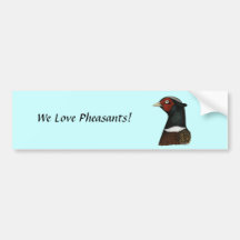 Ringneck Pheasant Head Bumper Stickers