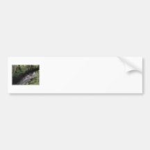 River flowing through woodland. bumper sticker