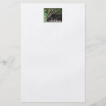 River flowing through woodland. personalized flyer