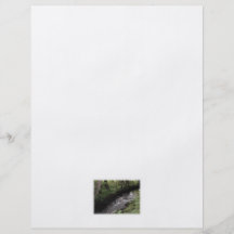 River flowing through woodland. personalized flyer