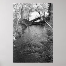 River in Black & White Print