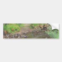 River in woodland. bumper sticker