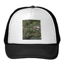 River Island Trucker Hat