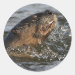 river otter stickers