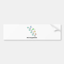 RNA Nucleobases (Biochemistry) Bumper Stickers