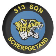 RNLAF 313 Sqn Plate