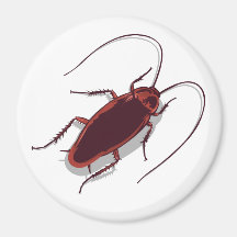 Roach! Magnets